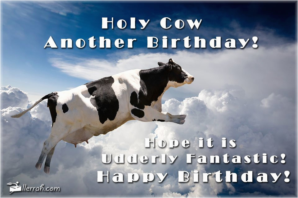 cardholycowbirthday