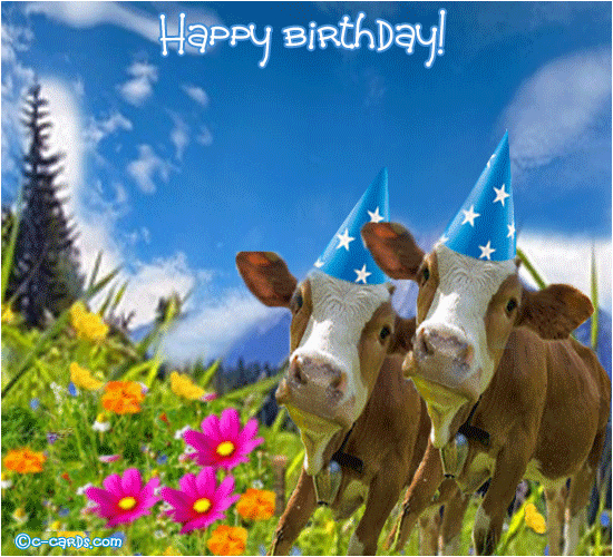 yodeling birthday cows