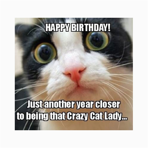 cat birthday meme