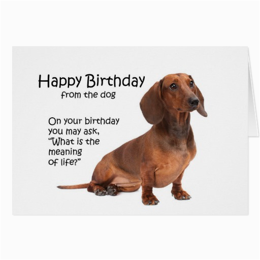 funny dachshund birthday card 137539949697699398
