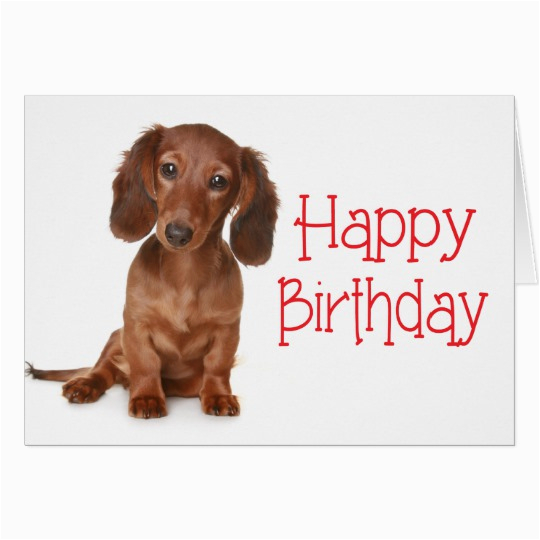 happy birthday dachshund puppy dog card 137530651973401128