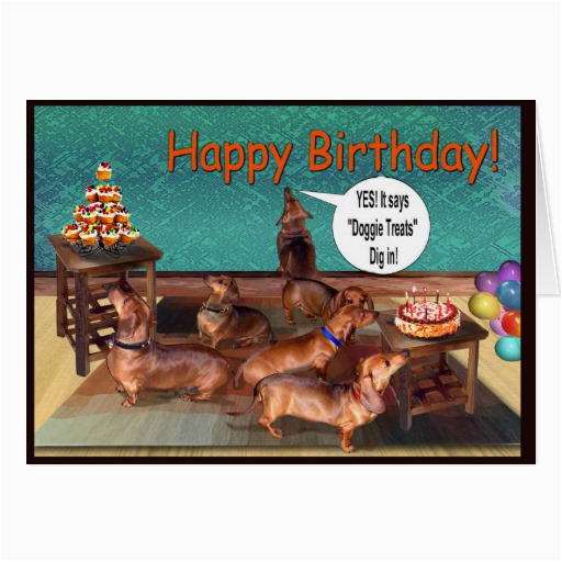 an unplanned dachshund birthday party card 137289269908765216
