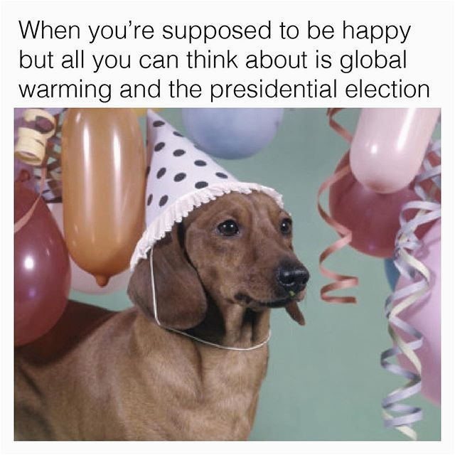 dachshund meme