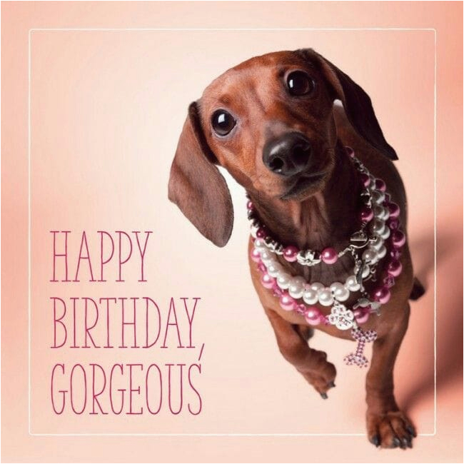 happy birthday dog images