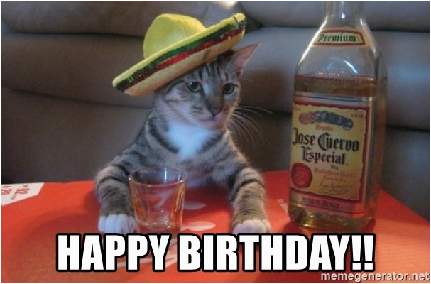 drunk cat happy birthday