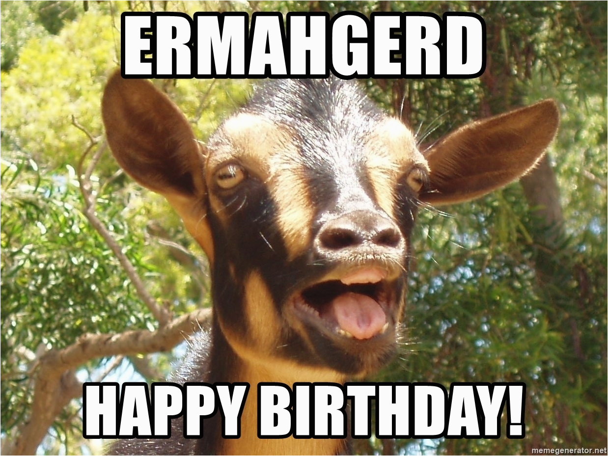 illogical goat ermahgerd happy birthday