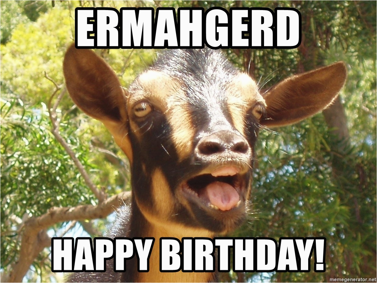 ermahgerd happy birthday illogical goat meme generator. illogical goat erma...