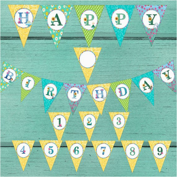 frozen fever happy birthday party banner