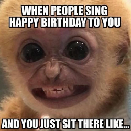 top 30 funny birthday quotes