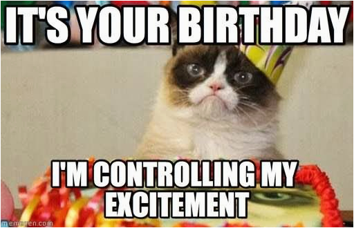 20 very funny birthday animal pictures and images