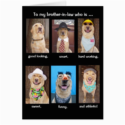 funny brother in law birthday cards 137867597023293836