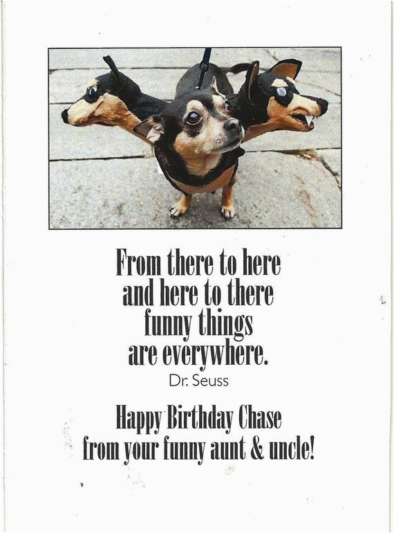 happy birthday funny nephew dog dogs