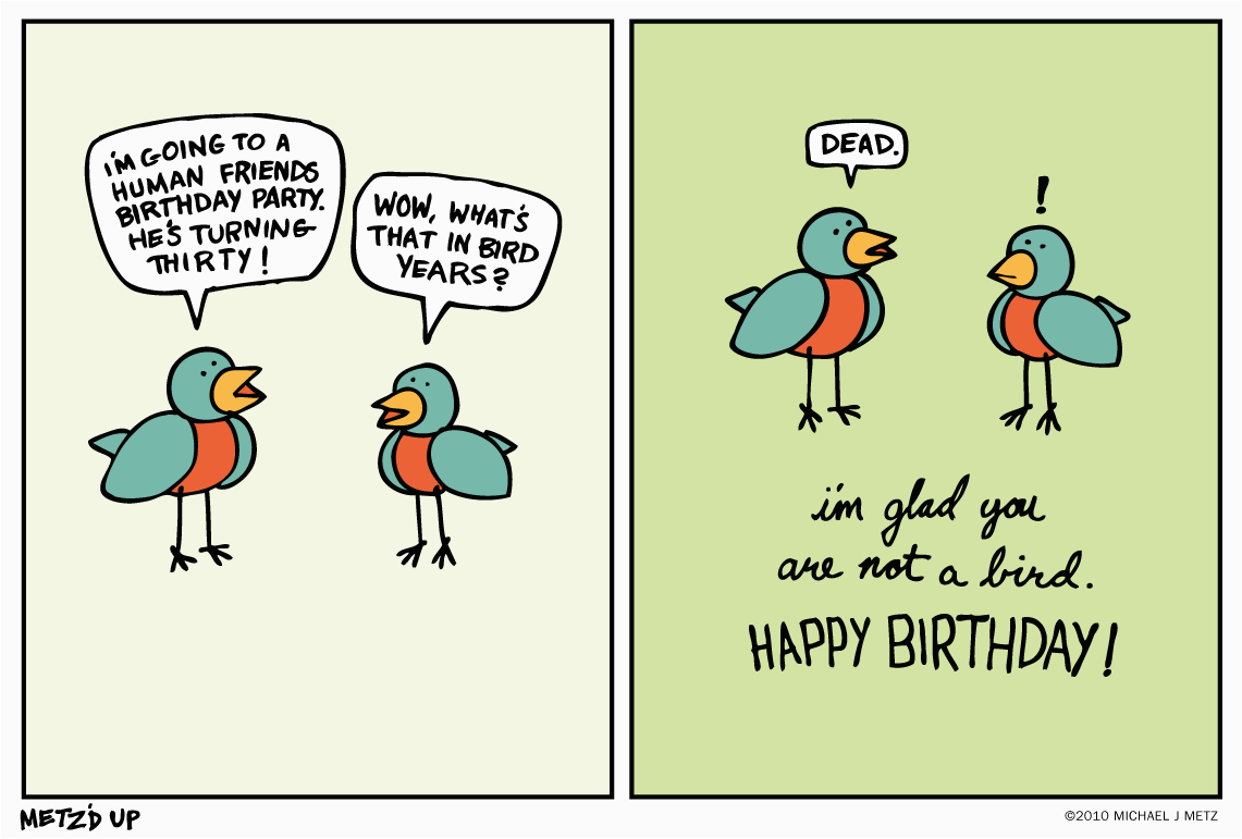 collectionfdwn funny birthday pictures tumblr