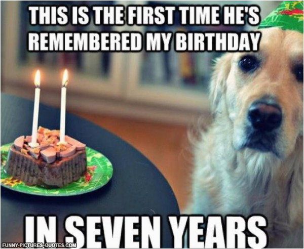 birthday fun dog quotes