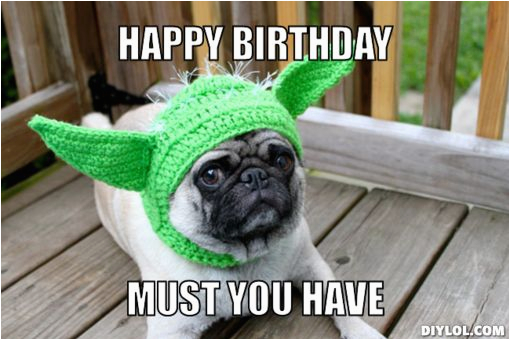 Funny Dog Birthday Memes Incredible Happy Birthday Memes for You top ...