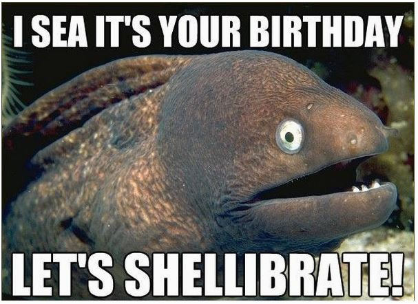 funny happy birthday images