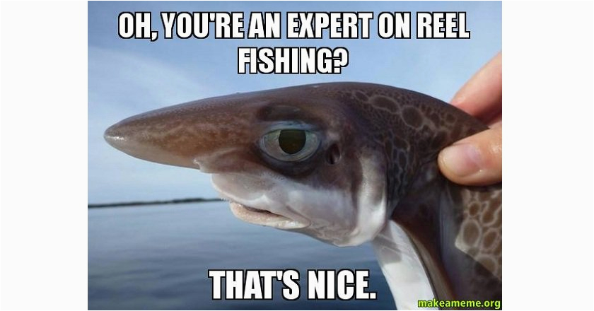 20 fishing memes tickle funny bone