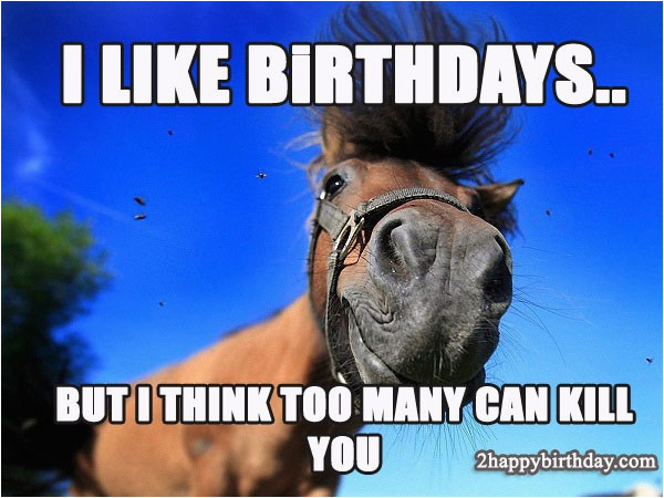 funny happy birthday horse meme