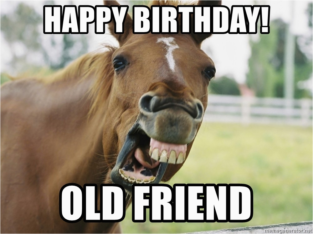 Funny Horse Birthday Memes Happy Birthday Old Friend Horse Luis Meme