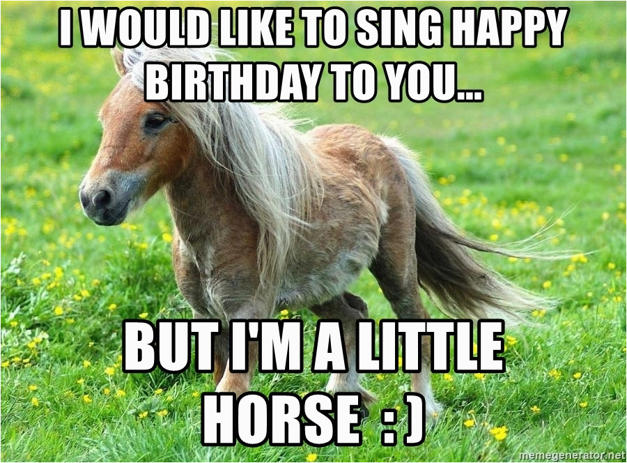 one trick pony i would like to sing happy birthday to you but im a little horse