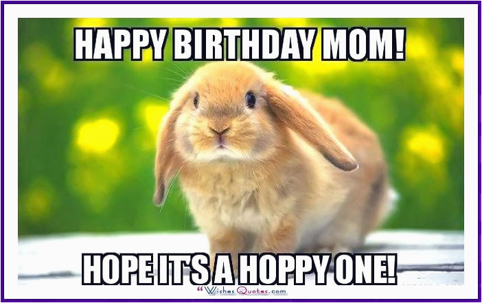funny birthday memes dad mom brother sister