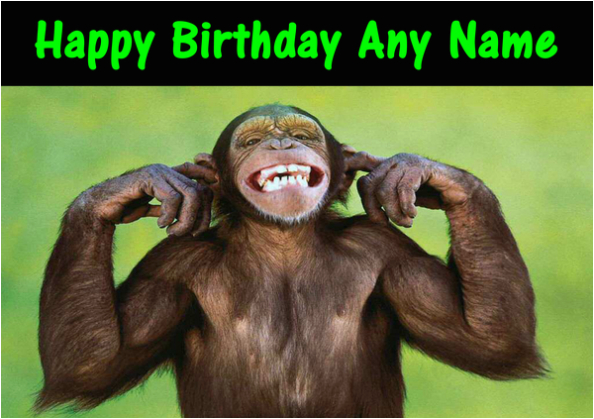 cheeky funny monkey birthday card 262 p