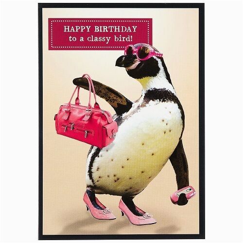 Funny Penguin Birthday Cards Funny Humour Happy Birthday Greeting Card Penguin to A