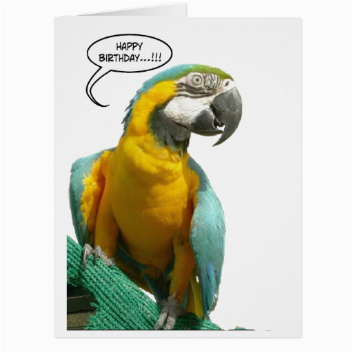 funny talking parrot birthday big greeting card 137590265742266854