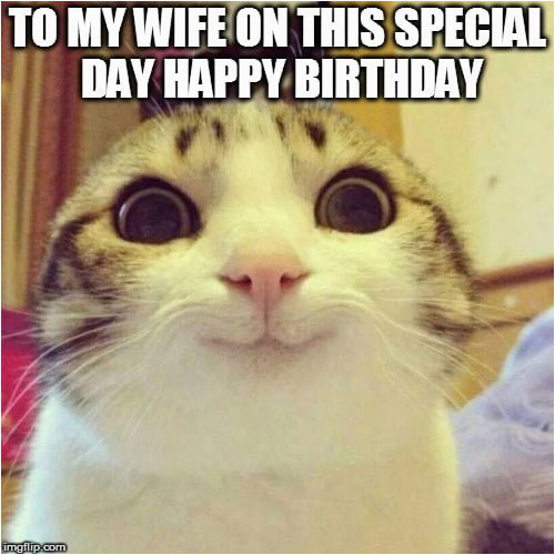 happy birthday wife meme quotes