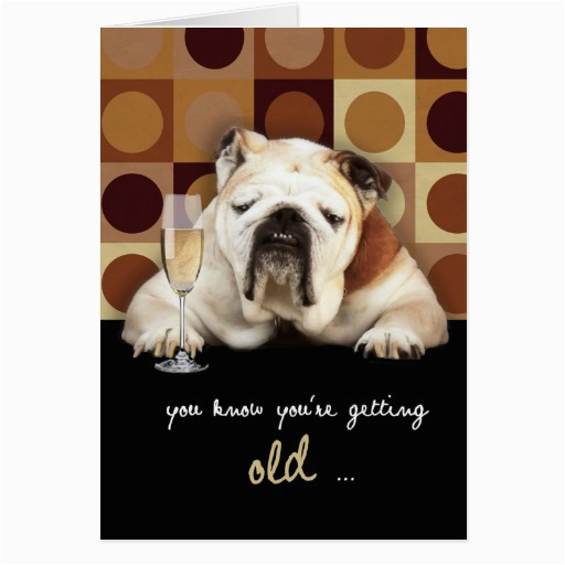 funny-you-re-getting-old-birthday-cards-birthdaybuzz