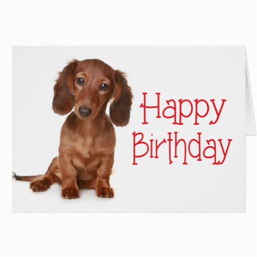 happy birthday dachshund puppy dog card 137530651973401128