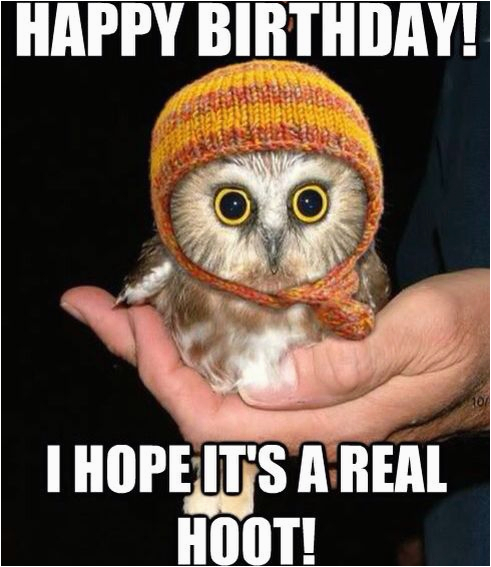 cute birthday meme