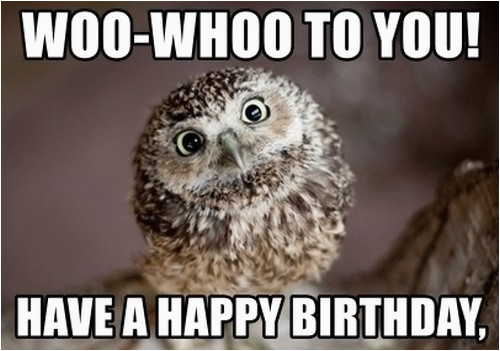 owl birthday memes