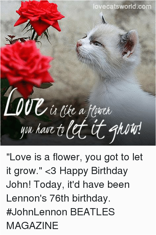 have fr lovecatsworld com love is a flower you got to 2734168