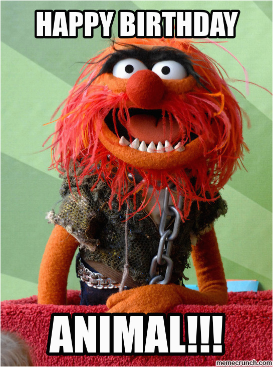 Muppets Happy Birthday Meme Happy Birthday | BirthdayBuzz