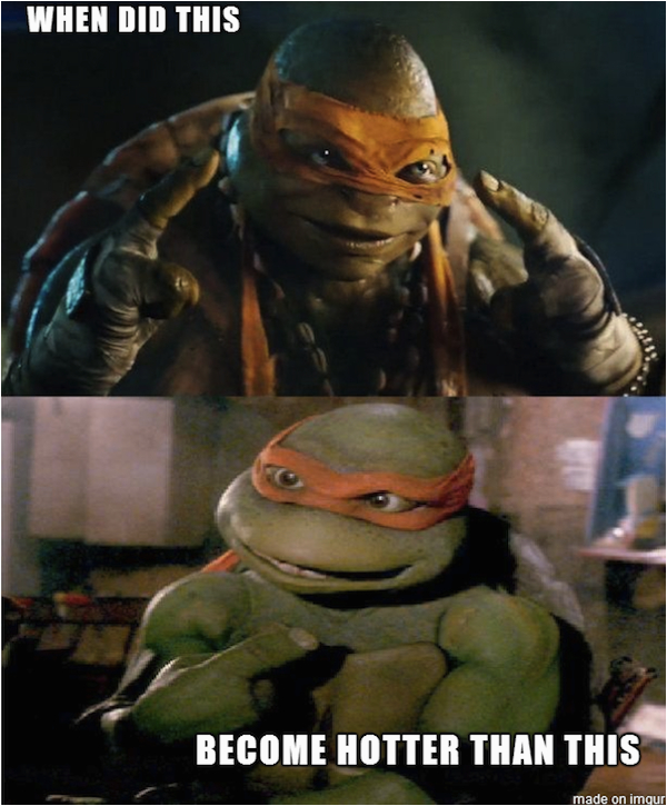 ninja turtle memes
