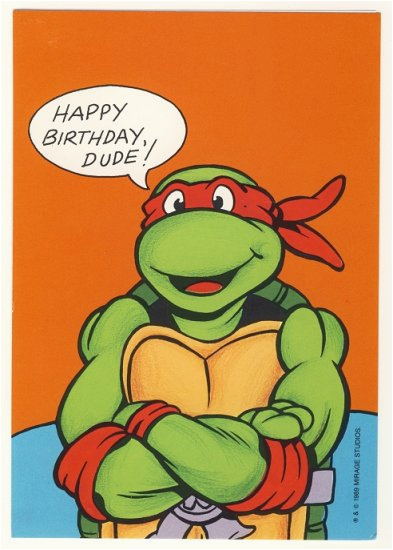 raphael birthday greeting card ninja