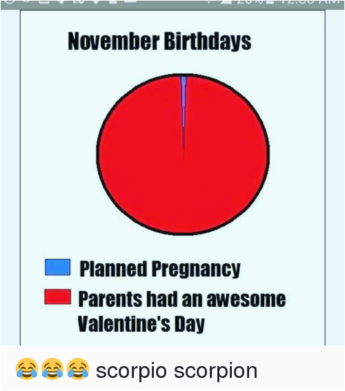 November Birthday Memes BirthdayBuzz