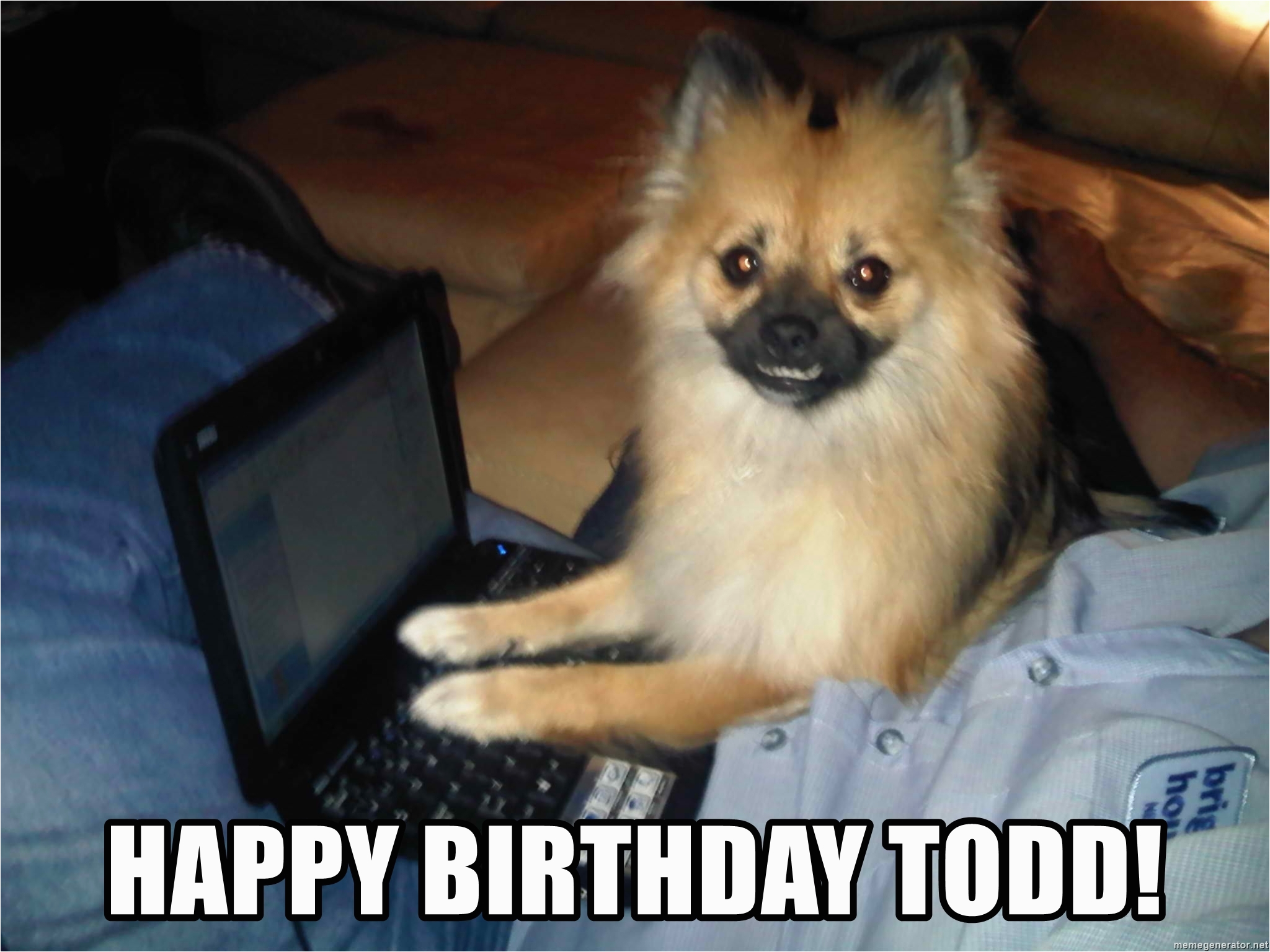 pc pomeranian happy birthday todd