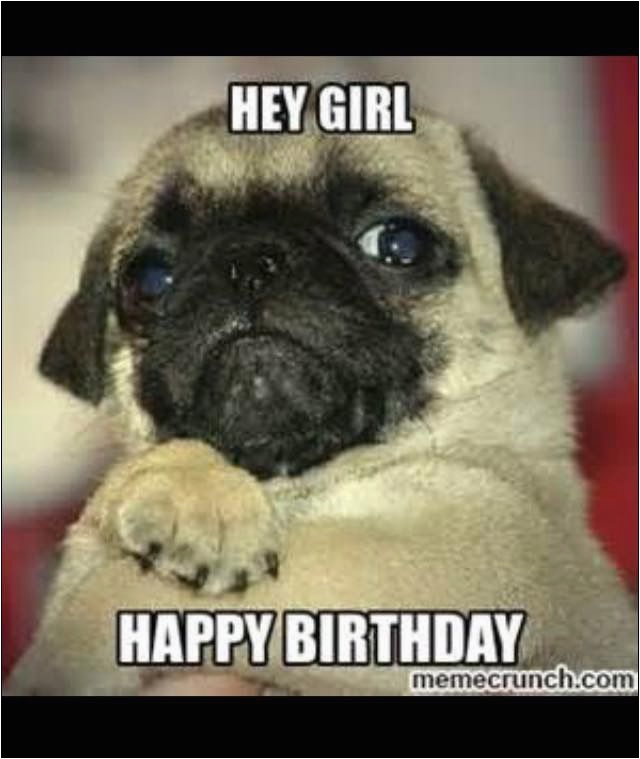 happy birthday pug