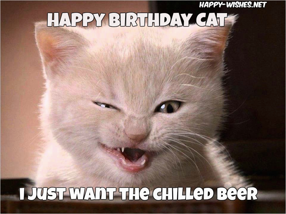 cat birthday meme