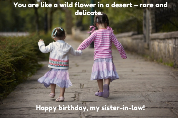birthday quotes wishes for sister in law