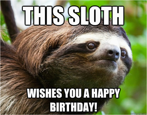 happy birthday sloth