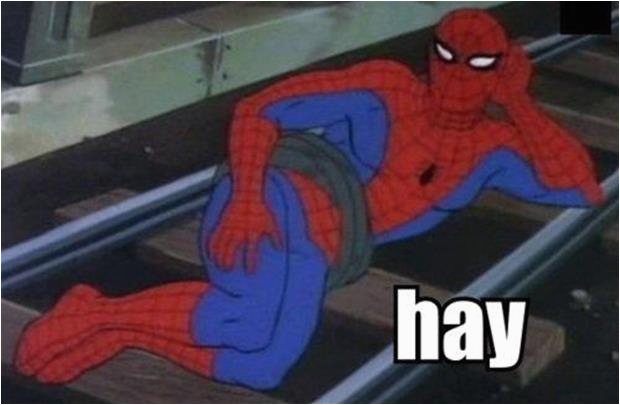 funny spiderman meme pictures 1