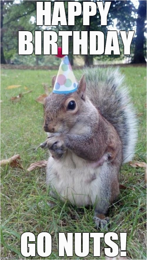 super birthday squirrel