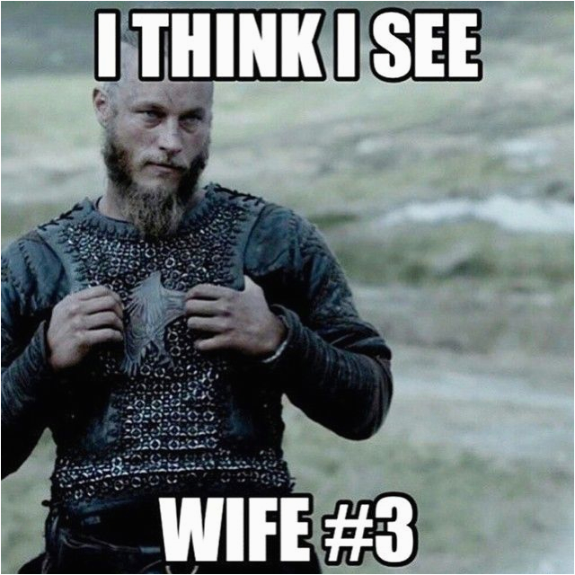 viking meme