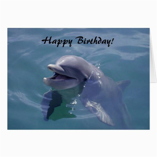 smiling dolphin happy birthday card 137002937125587797