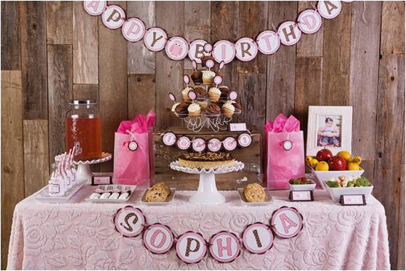 pink owl theme happy birthday banner