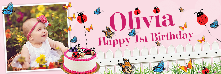 happy 1st birthday butterfly ladybird banner theme