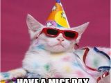 26 Birthday Meme Happy Birthday Wiches Best 26 Cat Birthday Meme